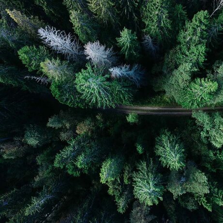 Photo by Geran de Klerk